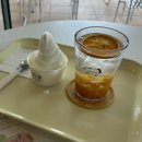 승리목장 | 제주 여행 | 서귀포카페 목장카페 밭디 승마, 먹이주기 체험, 이색 자전거 체험 소개 및 후기