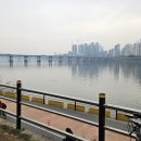 나란히 흐르다 이미지