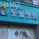 이광수동물병원 이미지
