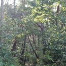 사천승마장 이미지