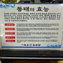 생각하는 한국사 (D) | 비 오는 날 생각나는 얼큰한 매교동태탕 메뉴, 가격, 주차 정보까지 한눈에 보는 내돈내산 후기