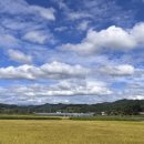 모야의숲 캠핑장 이미지