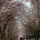 개나리공원 농구장 이미지