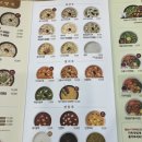 본죽&비빔밥 부산수영점 이미지