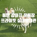 달콤하개 | 동탄 강아지 운동장 대관 달콤하개(무게, 견종 제한 없는 곳, 멍래블 어플 예약, 실내, 실외)