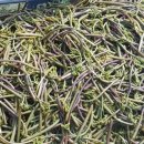 남원읍-17 이미지