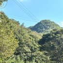 금산산림문화타운캠핑장 | 금산산림문화타운 B3-8 사이트 후기
