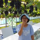 고향산천농장 이미지