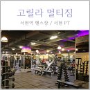 (주) 고릴라멀티짐 | [서현역 헬스장] 고릴라 멀티짐 PT 후기, 서현역 골프연습장까지 구비:)