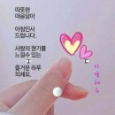 꼬망쎄 이미지