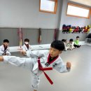 화신태권도 이미지