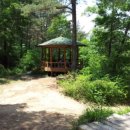 월평공원 습지길 이미지