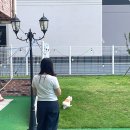 헤이퍼피 이미지