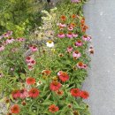 정열농장 이미지