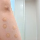 써니점핑다이어트 - 안산시 상록구 | 광주 다이어트 후기 제로팻 다시 시작 6회차 후기