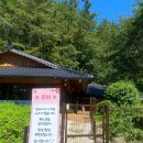 멍멍이와 숲속에서 이미지