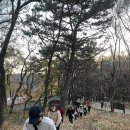 모멘트 핏 이미지