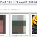 디지탈신상