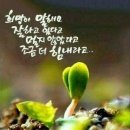 게스트 이미지