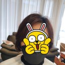 박정은헤어 이미지