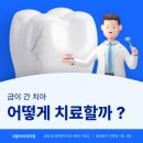 서울석치과의원 이미지