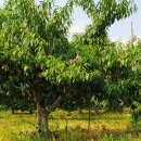 기북농장 이미지