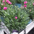 도매허브 이미지