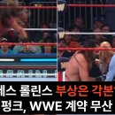 세스 롤린스, AJ 스타일스, CM 펑크, 스티브 오스틴, 골드버그 外 이미지