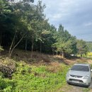 하나 숲 관광농원 이미지