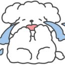 제이인테리어필름 - 광양시 인덕4길 20 | 제이인테리어필름