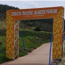 청산푸른환경 이미지