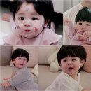 하루 마이데일리