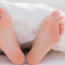 서울-언양-언양01 이미지