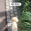 레오 - 김해시 김해대로 2290 | 레오