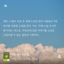 옥만두 | [더비로그] 2025년 8월 | 아직 어려워 여름에게 다정해지는 법