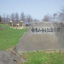 도야미트 이미지