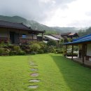 파도마을 삼냥이네 이미지