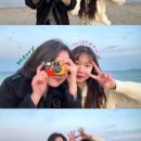 뽀감 이미지
