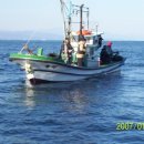 해양호민박 이미지