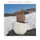 또오실마을 | 대관령 눈꽃마을 봅슬레이 눈썰매장 | 2026 예매일정 가격 현장발권 총정리