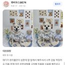 퓨어멍 이미지