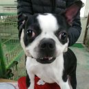 만수서로 이미지