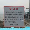 사천 대포항에 전어 드시러 오이소^^