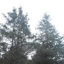 해오름목장 이미지