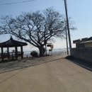 수양촌농장 이미지