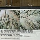 하라힐즈하가점 이미지