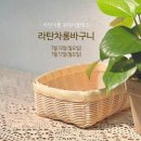 이플제주 이미지