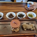 지유명차표선점