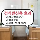 호리호리힐링다이어트