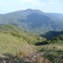 번암무룡고개로 이미지